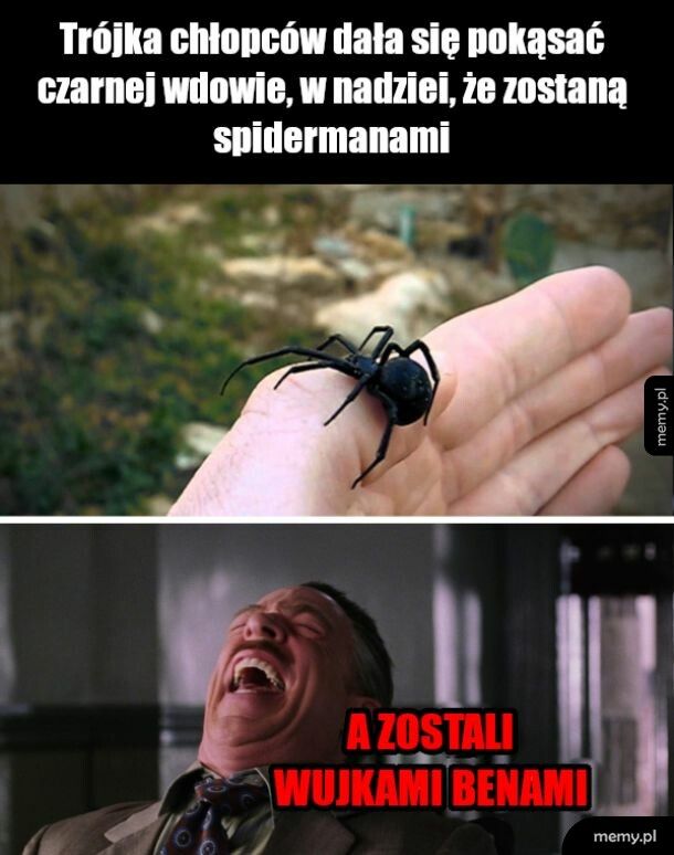 Jak zostać spidermanem