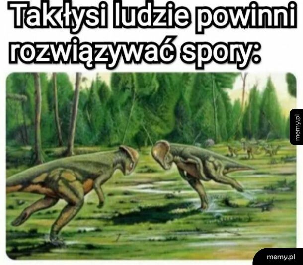 Chciałbym to zobaczyć