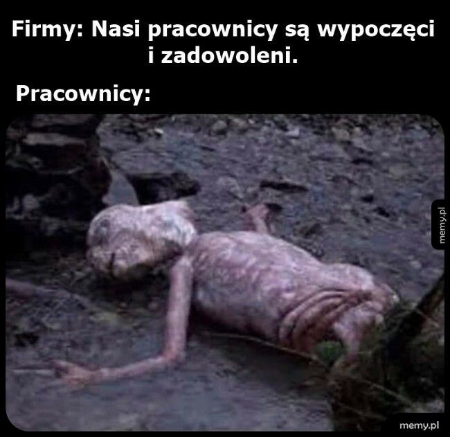 Wypoczęci i zadowoleni pracownicy