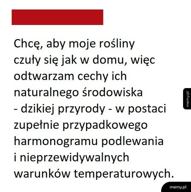 Uprawa roślin domowych