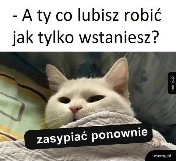 A kto nie lubi