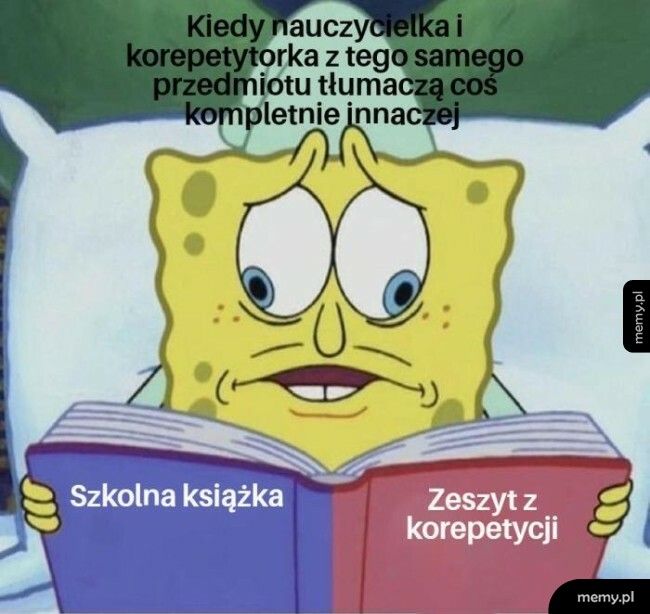 Nauczycielka i korepetytorka