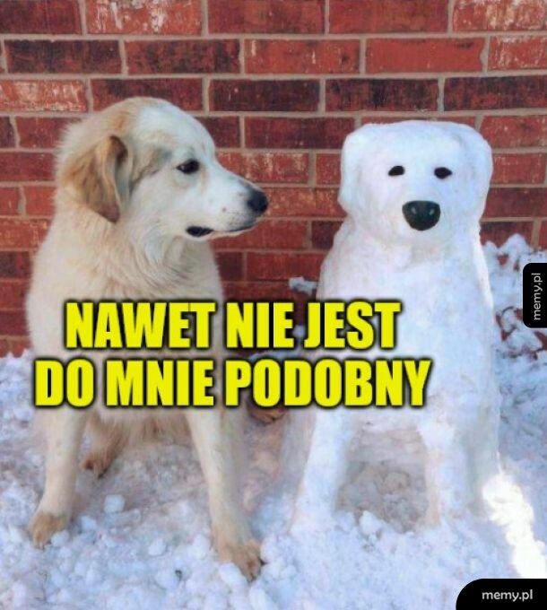 No trochę jest