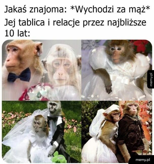 Relacje na fejsie