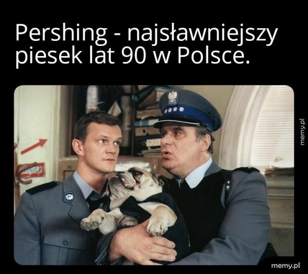 Czyżby tak rozpoczął się fejm na te psiaki?