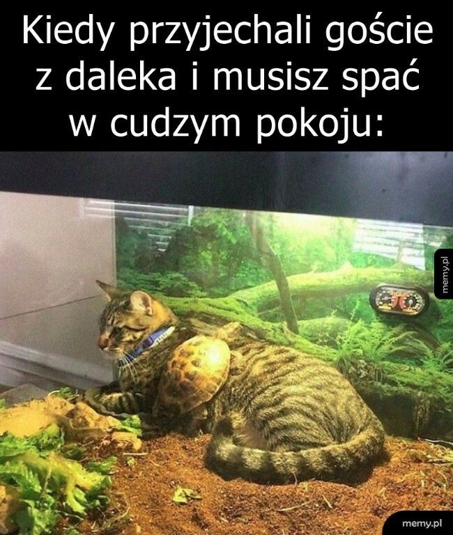 Trzeba się przemęczyć