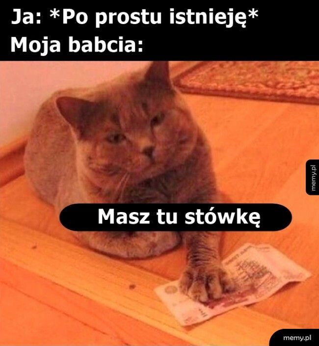 Babcie takie są