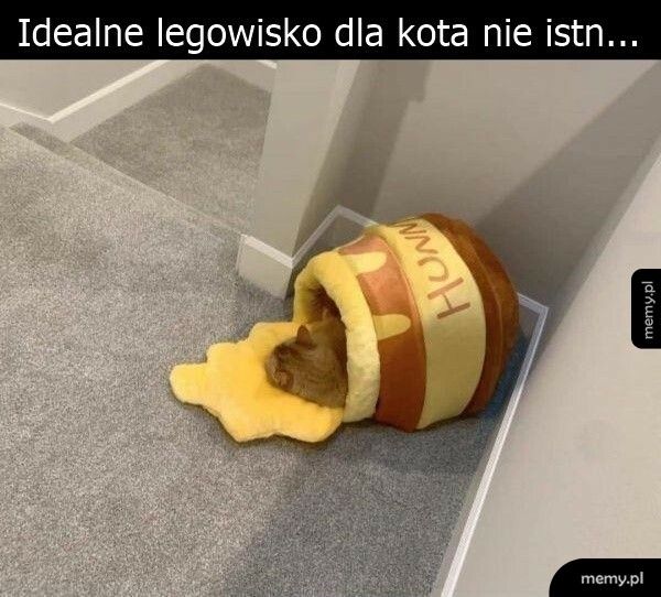 Legowisko dla kota