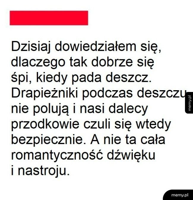 Spanie podczas deszczu