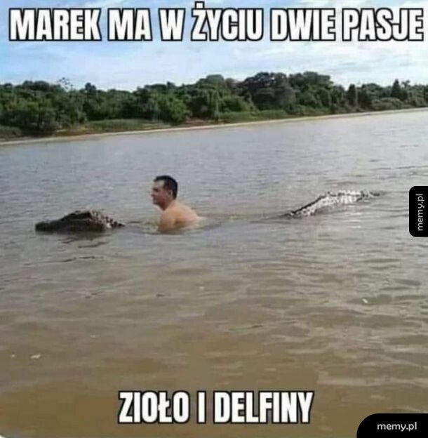 Pasja Marka