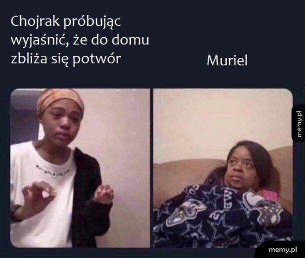 Chojrak tchórzliwy pies