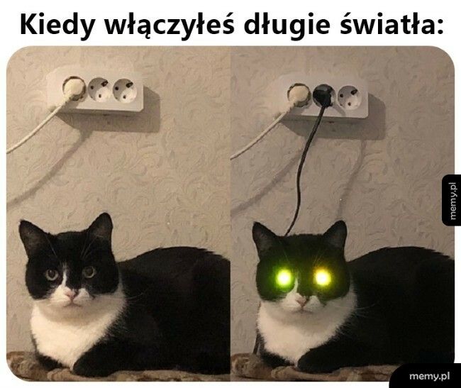 Długie światła