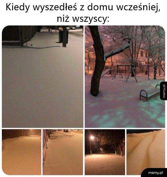 Świeży śnieg