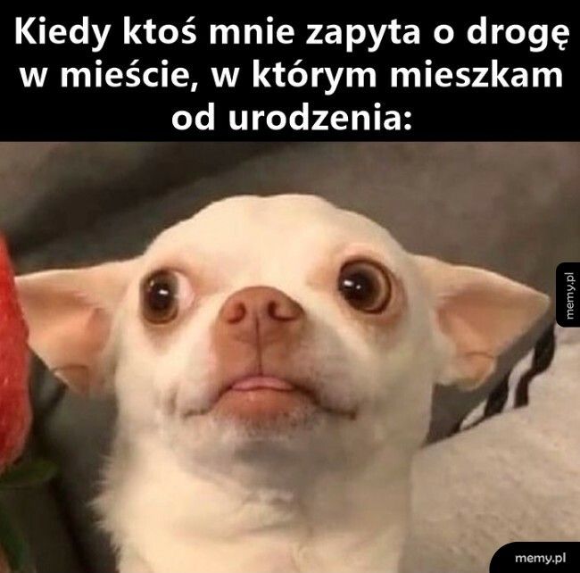 Pytanie o drogę