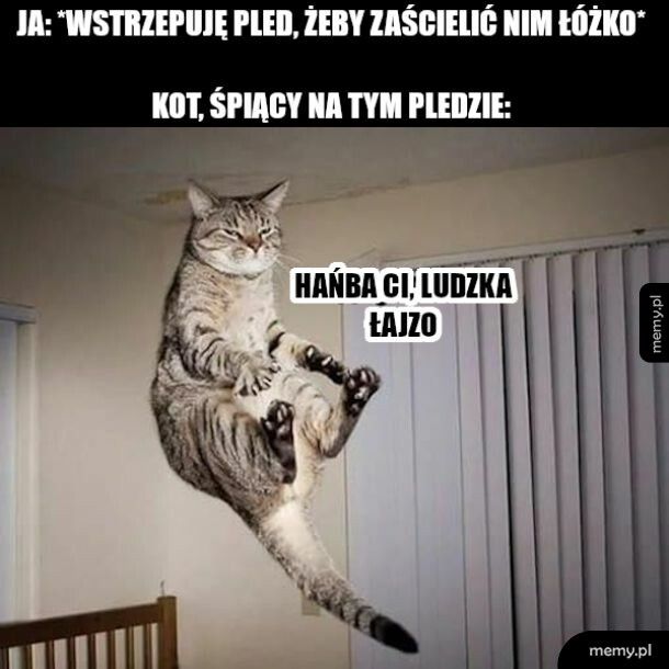 U mnie mówiło się "kapa" a nie pled