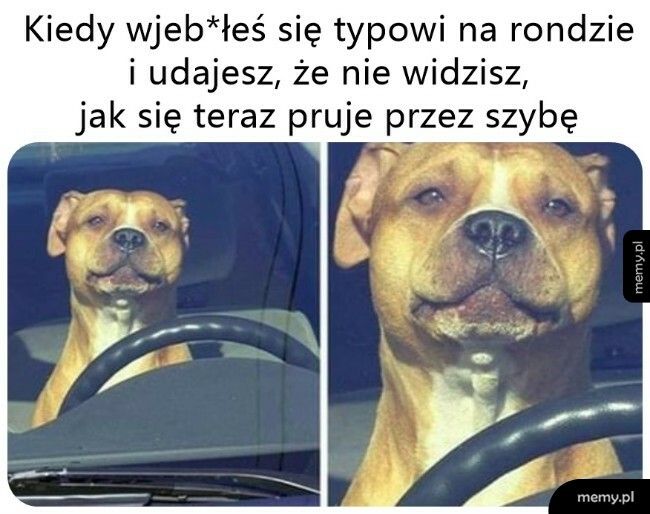 Nic nie widzę