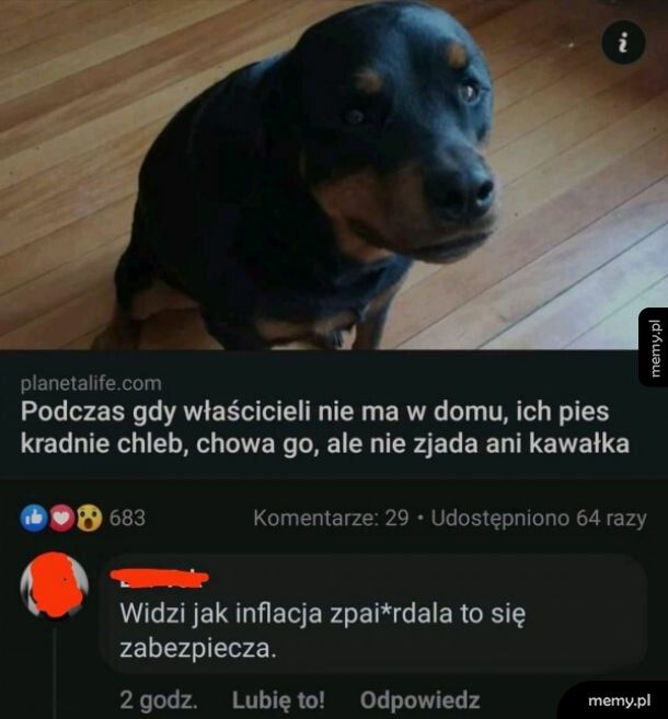 Na gorsze czasy