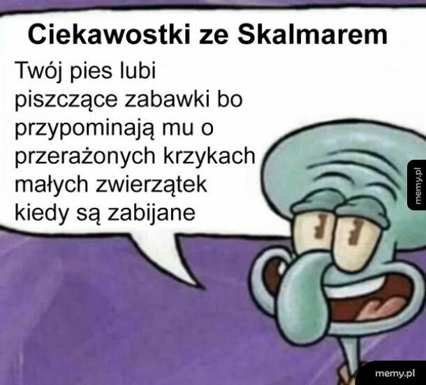 Zabawki