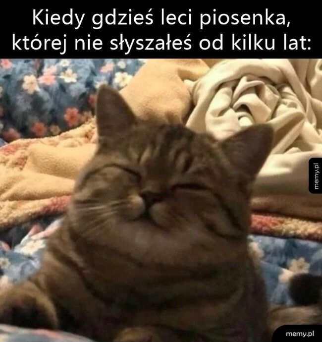 Dawno słyszana piosenka