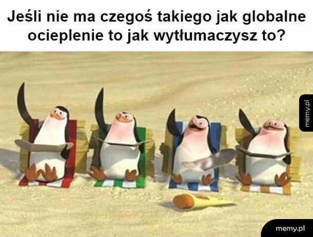 No właśnie