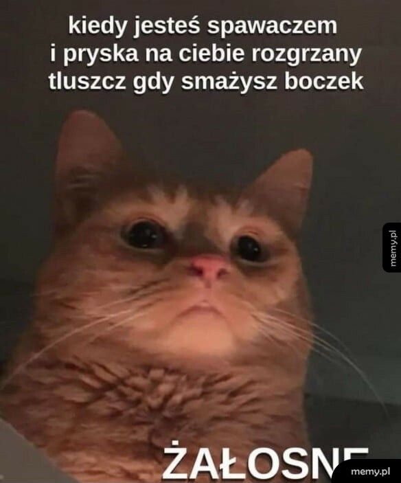 Też mi coś