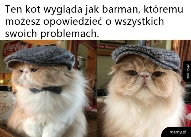 Można się wygadać