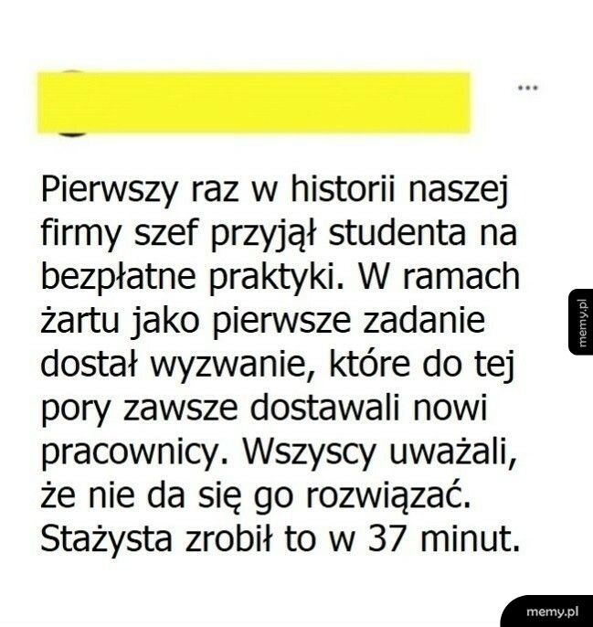 Student na praktykach