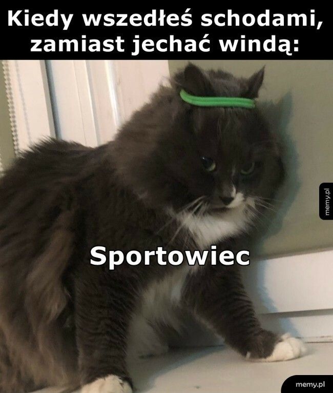 Sportowiec