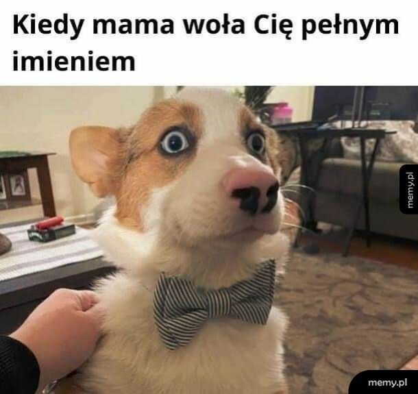 o żesz kur...