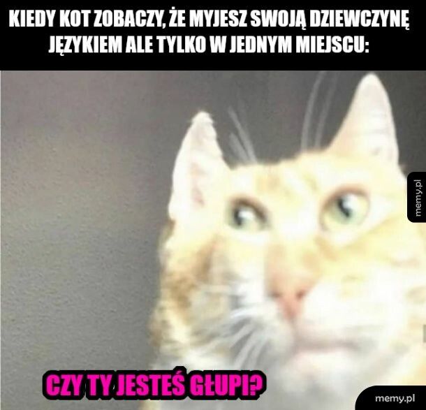 Dzieją się rzeczy, których nie rozumiem