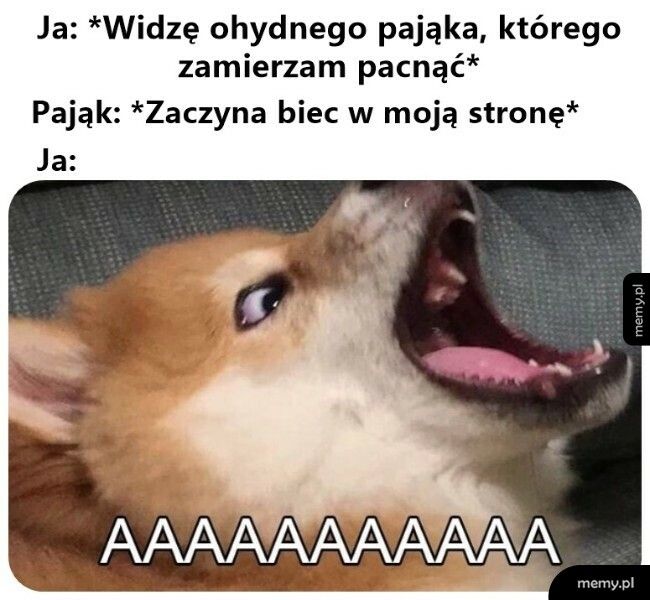 Pora na ewakuację