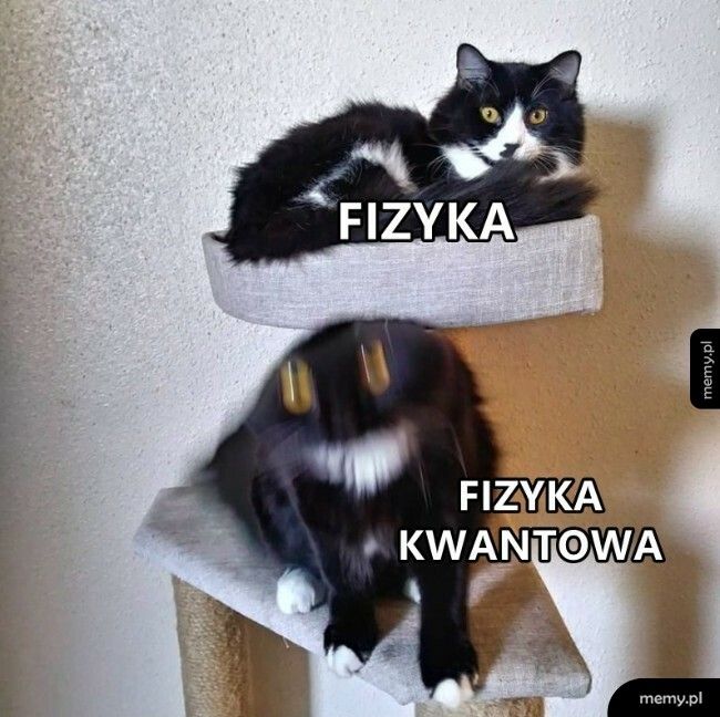 Fizyka kwantowa