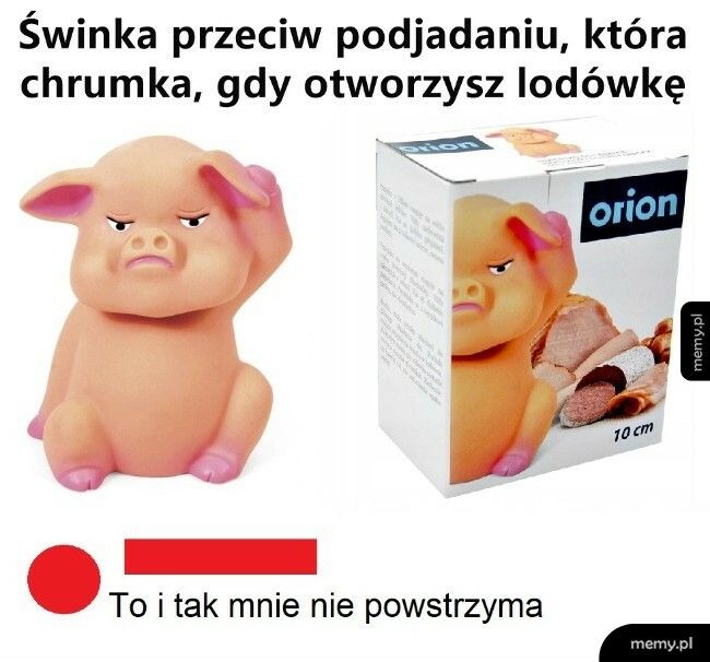 Świnka przeciw podjadaniu