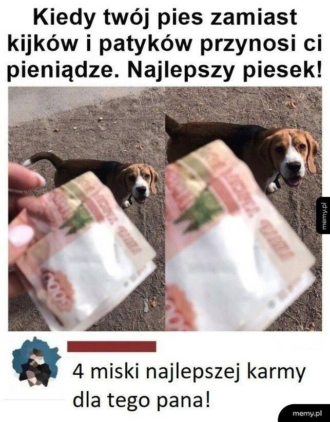 Dobry piesek