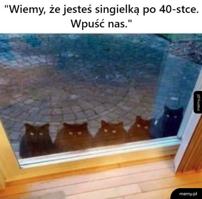 Nadeszło wsparcie