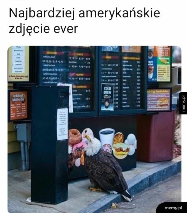 Nie widziałem lepszego