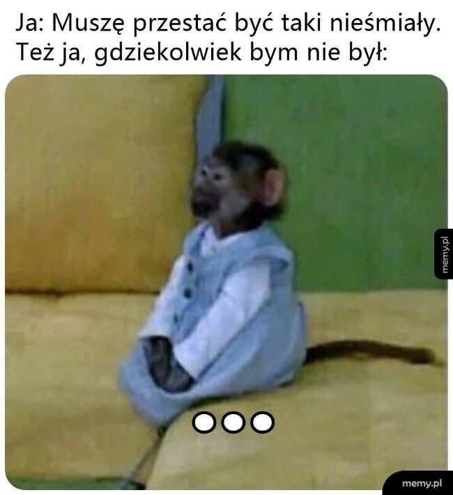 Nieśmiałość