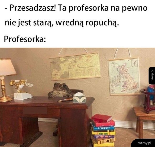 Profesorka