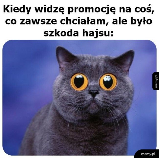 Co za okazja