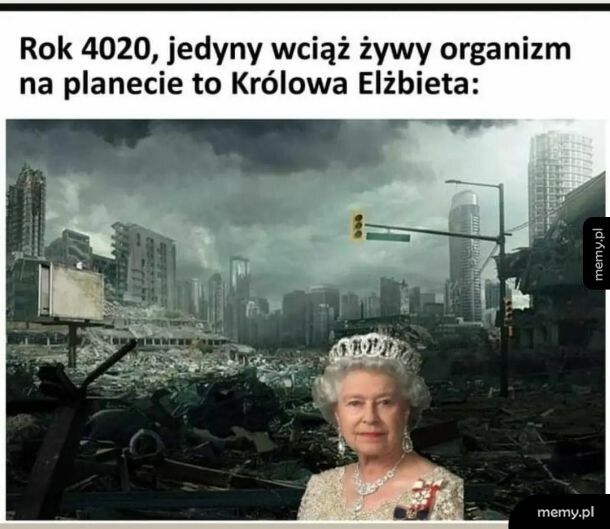 Ciekawe czy ona tyle dożyje