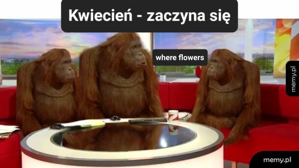 Kwiecień plecień