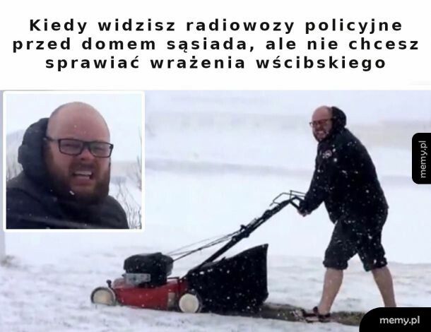 Panie, ja tylko trawę koszę