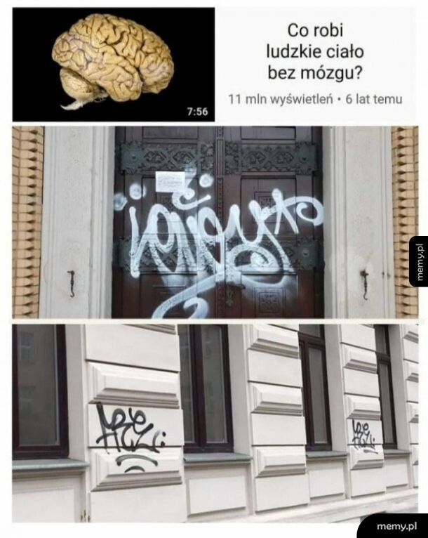 Ciało bez mózgu