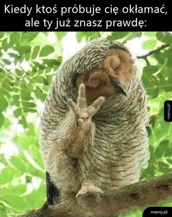 No i gdzie mi z tymi kłamstwami