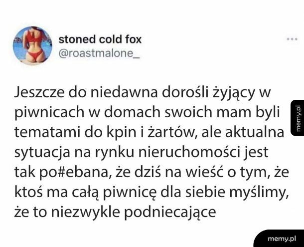 Całą piwnicę na własność? Bierz mnie!