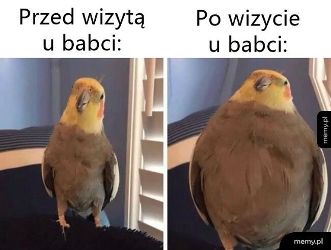 Wizyta u babci