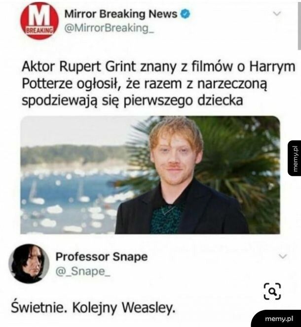 No świetnie