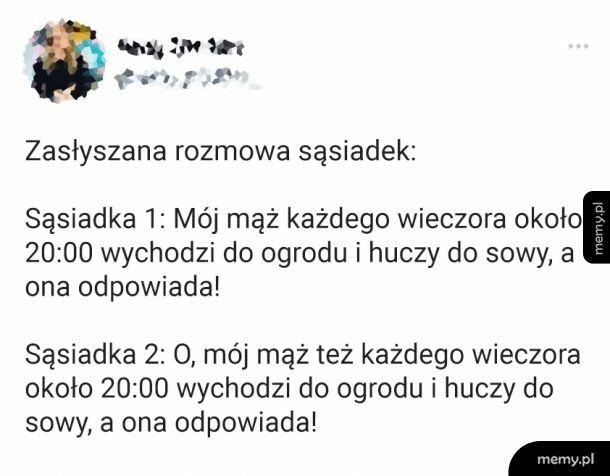 Ciekawe, czy się zorientowały