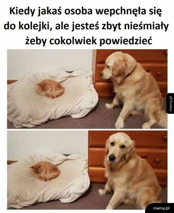 Kolejka