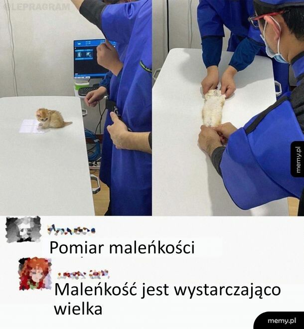 Pomiar maleńkości